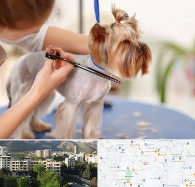 آرایشگاه سگ در دیباجی