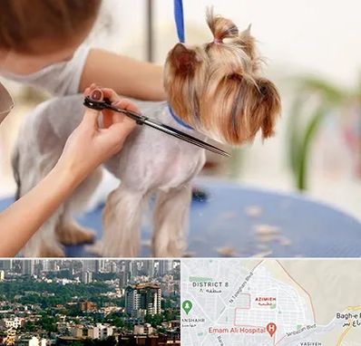 آرایشگاه سگ در عظیمیه کرج