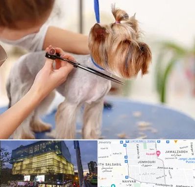 آرایشگاه سگ در جمهوری 