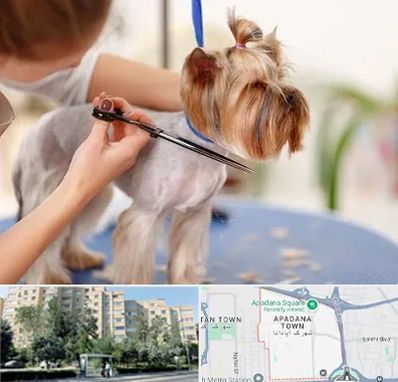 آرایشگاه سگ در آپادانا