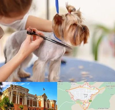 آرایشگاه سگ در خوی