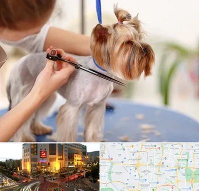 آرایشگاه سگ در جنت آباد تهران 