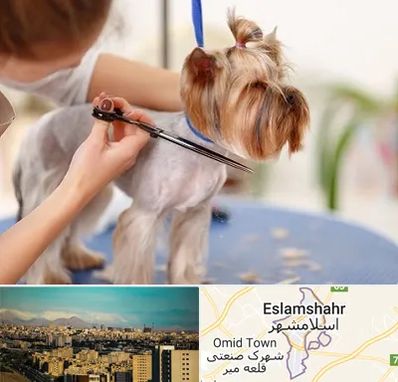 آرایشگاه سگ در اسلامشهر