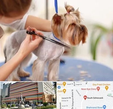آرایشگاه سگ در سهروردی