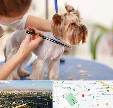 آرایشگاه سگ در هنگام