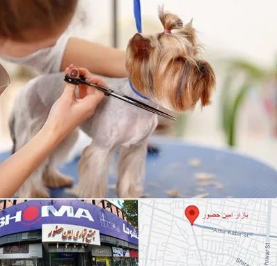آرایشگاه سگ در امین حضور