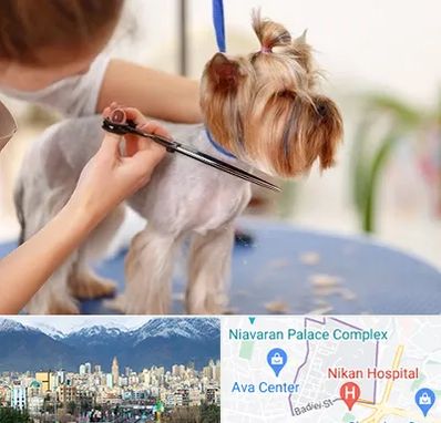 آرایشگاه سگ در آجودانیه