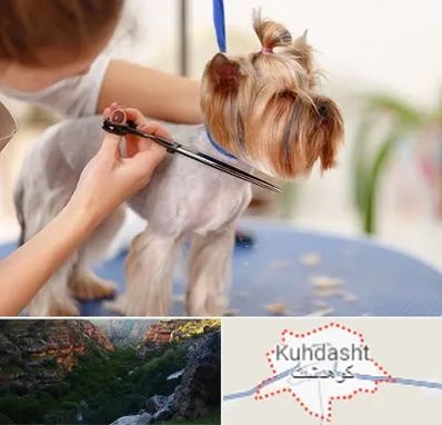 آرایشگاه سگ در کوهدشت
