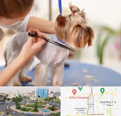 آرایشگاه سگ در ونک 