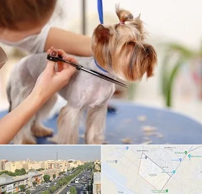 آرایشگاه سگ در کیانمهر کرج