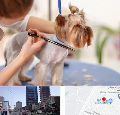 آرایشگاه سگ در چهارراه طالقانی کرج