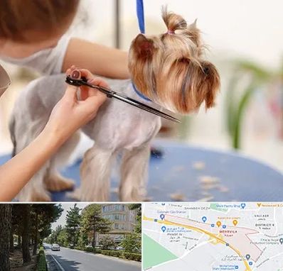 آرایشگاه سگ در مهرویلا کرج