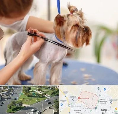 آرایشگاه سگ در شاهین ویلا کرج