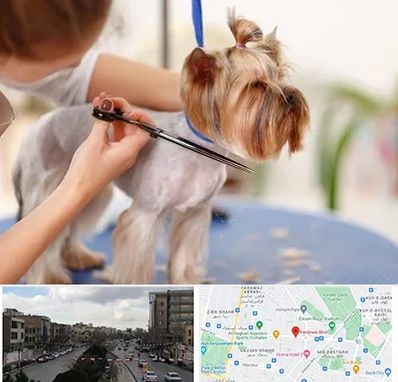 آرایشگاه سگ در بلوار فردوسی مشهد