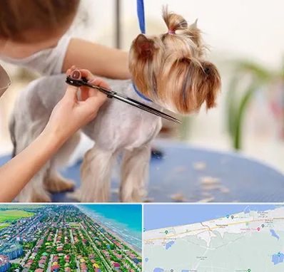 آرایشگاه سگ در فریدونکنار