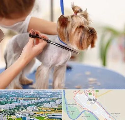 آرایشگاه سگ در آبادان