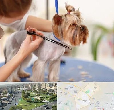 آرایشگاه سگ در کمال شهر کرج