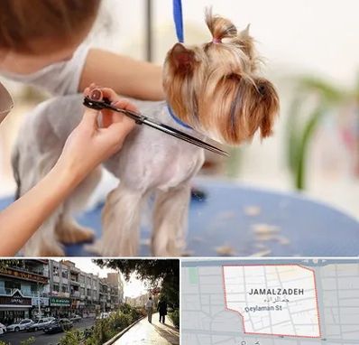 آرایشگاه سگ در خیابان جمالزاده