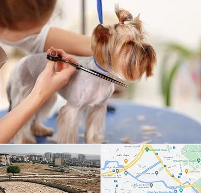 آرایشگاه سگ در کوی وحدت شیراز