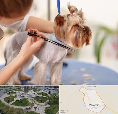 آرایشگاه سگ در ورامین