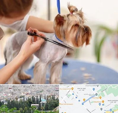 آرایشگاه سگ در محلاتی شیراز