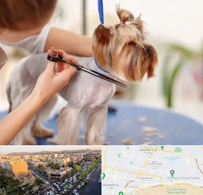 آرایشگاه سگ در تهرانپارس 