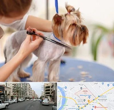 آرایشگاه سگ در زیتون کارمندی اهواز