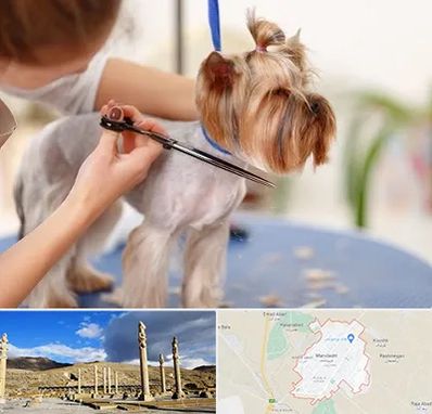 آرایشگاه سگ در مرودشت