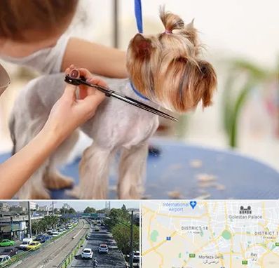 آرایشگاه سگ در جنوب تهران