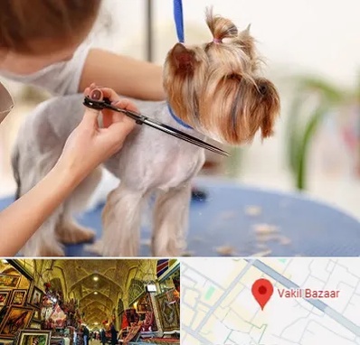 آرایشگاه سگ در بازار وکیل شیراز