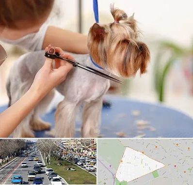 آرایشگاه سگ در احمدآباد مشهد