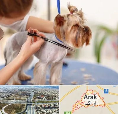 آرایشگاه سگ در اراک