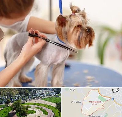 آرایشگاه سگ در مهرشهر کرج