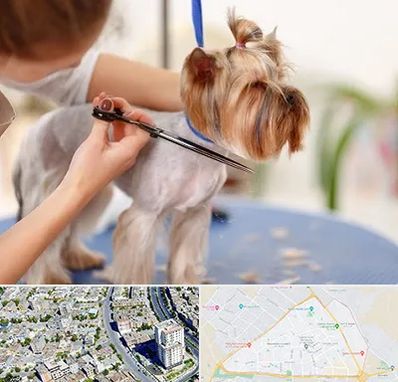 آرایشگاه سگ در قاسم آباد مشهد