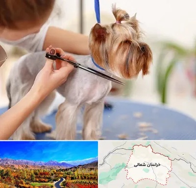 آرایشگاه سگ در خراسان شمالی