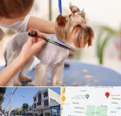 آرایشگاه سگ در افسریه