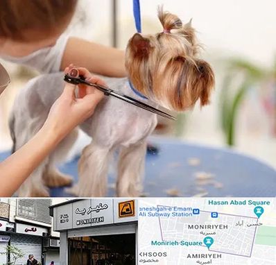 آرایشگاه سگ در منیریه