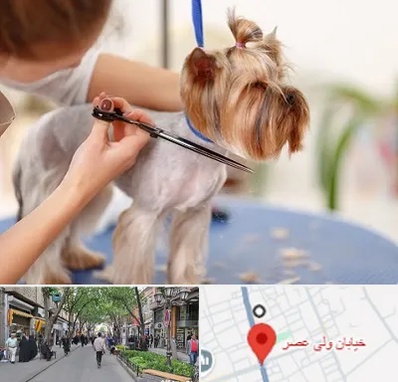 آرایشگاه سگ در ولیعصر شهریار