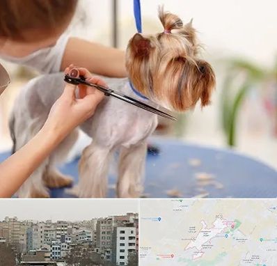 آرایشگاه سگ در محمد شهر کرج