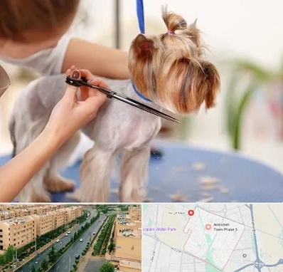 آرایشگاه سگ در فاز سه اندیشه