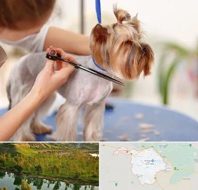 آرایشگاه سگ در بهبهان