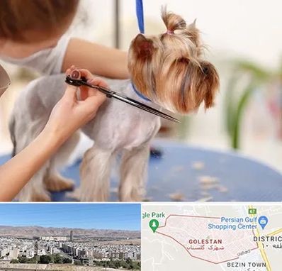 آرایشگاه سگ در شهرک گلستان شیراز