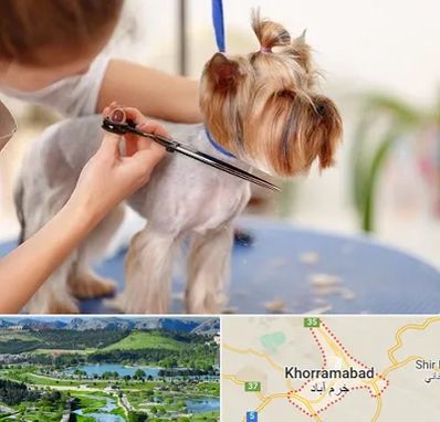 آرایشگاه سگ در خرم آباد