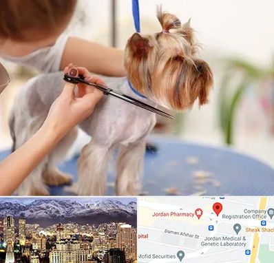 آرایشگاه سگ در جردن