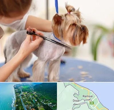 آرایشگاه سگ در رامسر