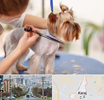 آرایشگاه سگ در گوهردشت کرج