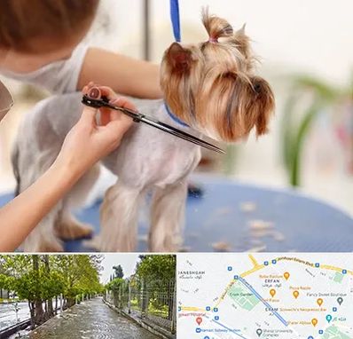 آرایشگاه سگ در خیابان ارم شیراز