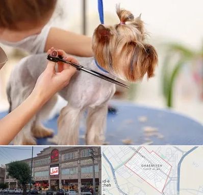 آرایشگاه سگ در قائمیه اسلامشهر