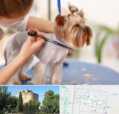 آرایشگاه سگ در مرداویج اصفهان