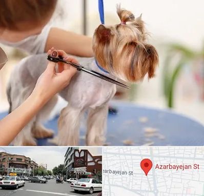 آرایشگاه سگ در خیابان آذربایجان